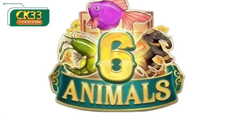 Global Standards and Fairness in CK33 Burmese 6 Animals