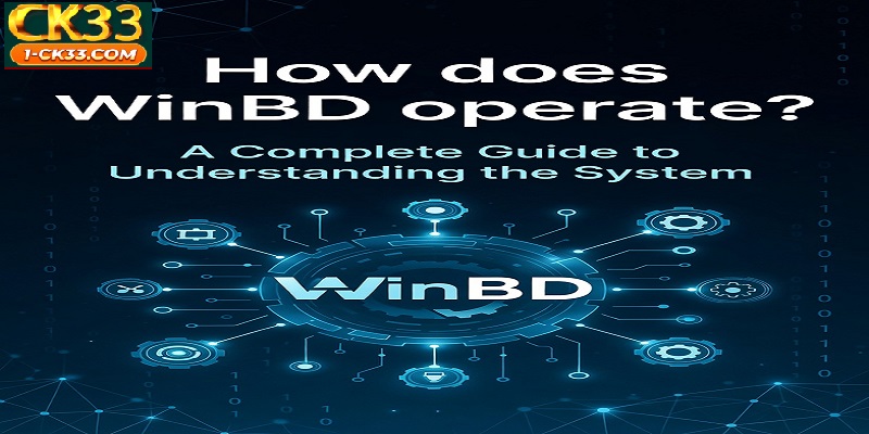 How does WinBD operate? – A Complete Guide to Understanding the System