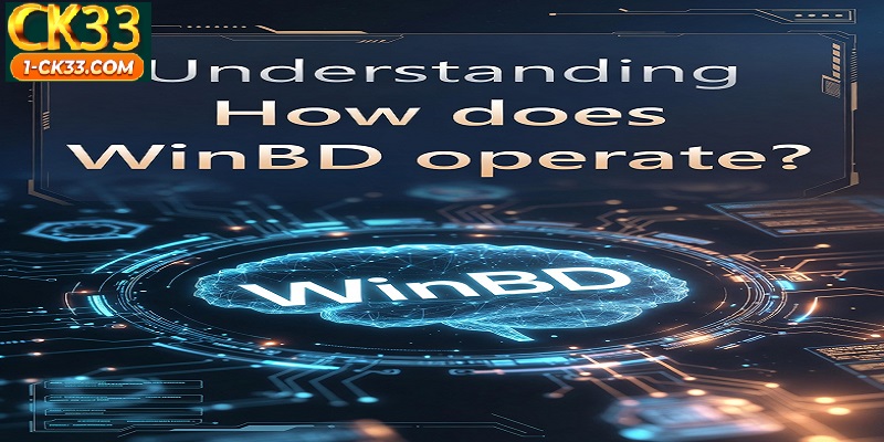 Understanding How does WinBD operate?